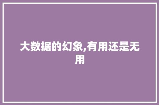 大数据的幻象,有用还是无用