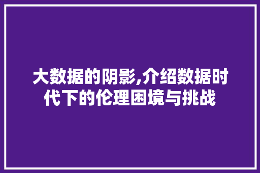 大数据的阴影,介绍数据时代下的伦理困境与挑战