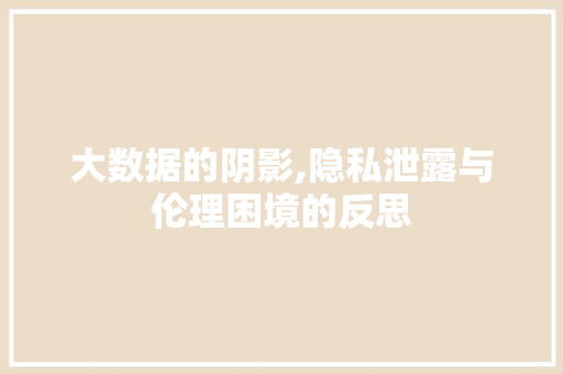 大数据的阴影,隐私泄露与伦理困境的反思