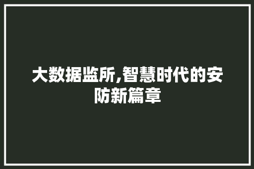 大数据监所,智慧时代的安防新篇章