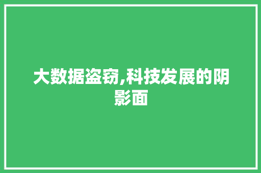 大数据盗窃,科技发展的阴影面