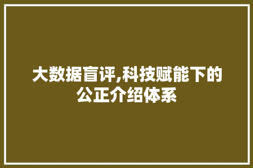 大数据盲评,科技赋能下的公正介绍体系