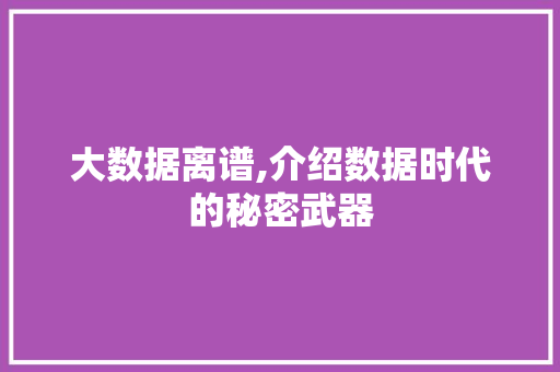 大数据离谱,介绍数据时代的秘密武器