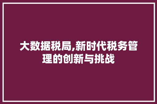 大数据税局,新时代税务管理的创新与挑战