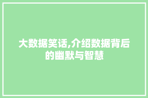大数据笑话,介绍数据背后的幽默与智慧