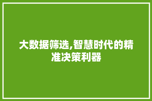 大数据筛选,智慧时代的精准决策利器