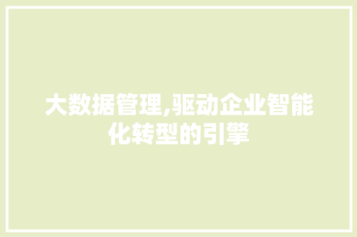 大数据管理,驱动企业智能化转型的引擎