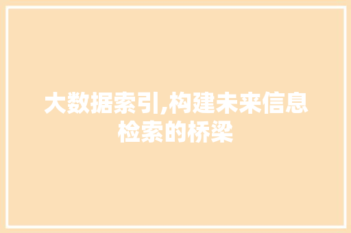 大数据索引,构建未来信息检索的桥梁