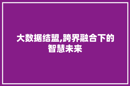 大数据结盟,跨界融合下的智慧未来