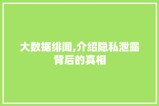 大数据绯闻,介绍隐私泄露背后的真相