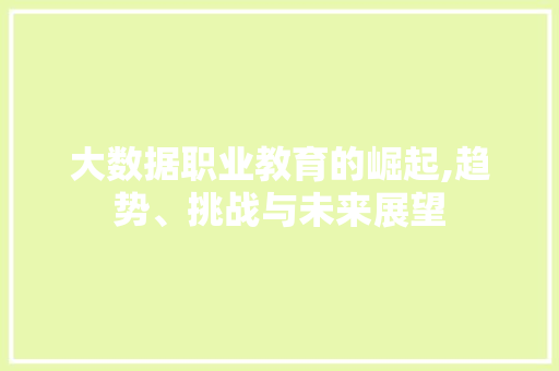 大数据职业教育的崛起,趋势、挑战与未来展望