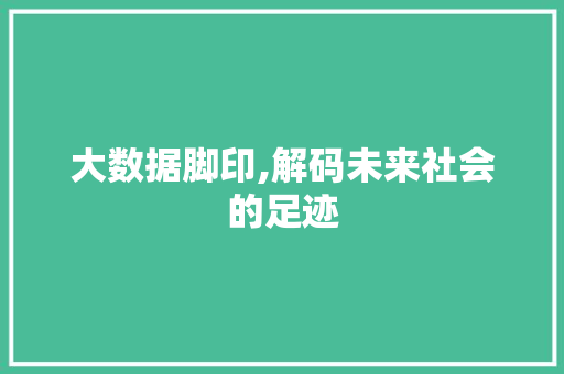 大数据脚印,解码未来社会的足迹