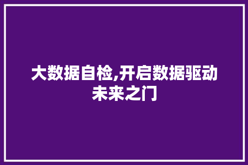 大数据自检,开启数据驱动未来之门