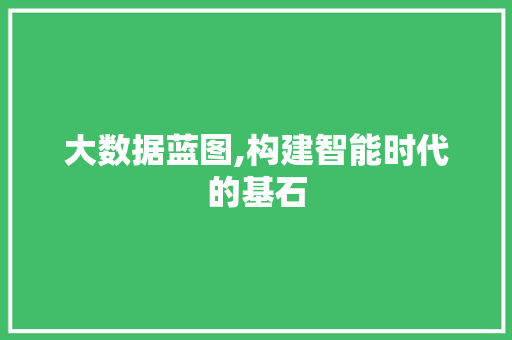 大数据蓝图,构建智能时代的基石