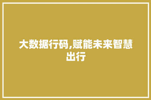 大数据行码,赋能未来智慧出行
