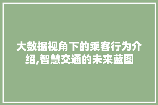 大数据视角下的乘客行为介绍,智慧交通的未来蓝图
