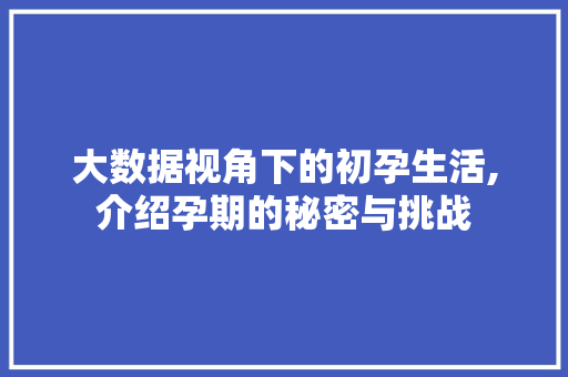大数据视角下的初孕生活,介绍孕期的秘密与挑战