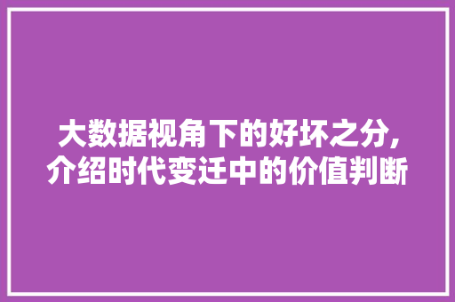 大数据视角下的好坏之分,介绍时代变迁中的价值判断