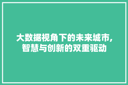 大数据视角下的未来城市,智慧与创新的双重驱动