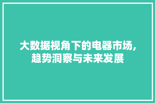 大数据视角下的电器市场,趋势洞察与未来发展