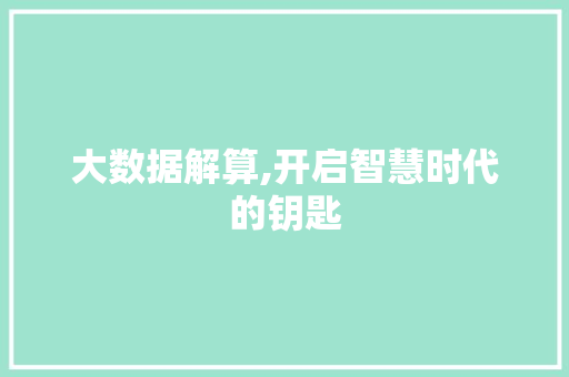 大数据解算,开启智慧时代的钥匙