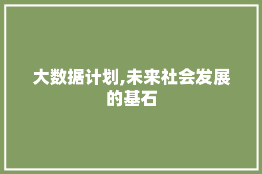 大数据计划,未来社会发展的基石