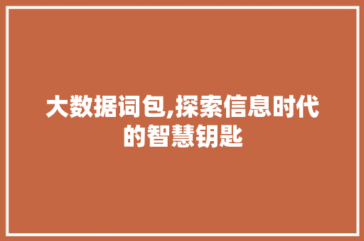 大数据词包,探索信息时代的智慧钥匙