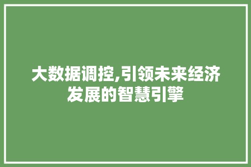 大数据调控,引领未来经济发展的智慧引擎