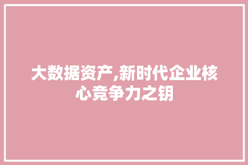 大数据资产,新时代企业核心竞争力之钥