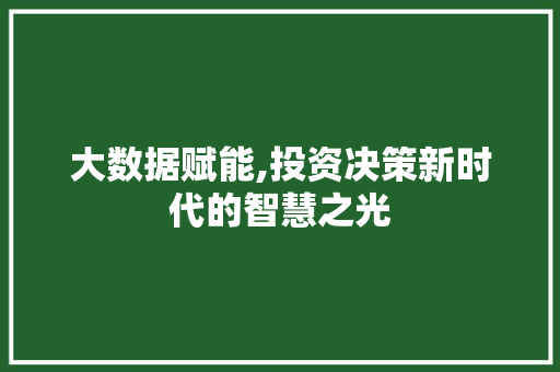 大数据赋能,投资决策新时代的智慧之光
