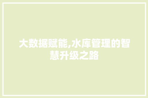 大数据赋能,水库管理的智慧升级之路