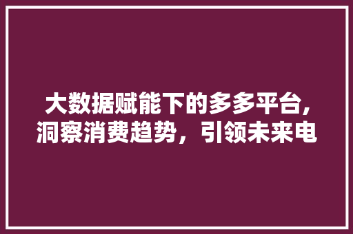 大数据赋能下的多多平台,洞察消费趋势，引领未来电商