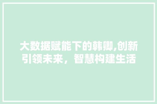 大数据赋能下的韩卿,创新引领未来，智慧构建生活