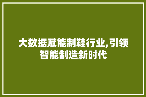 大数据赋能制鞋行业,引领智能制造新时代