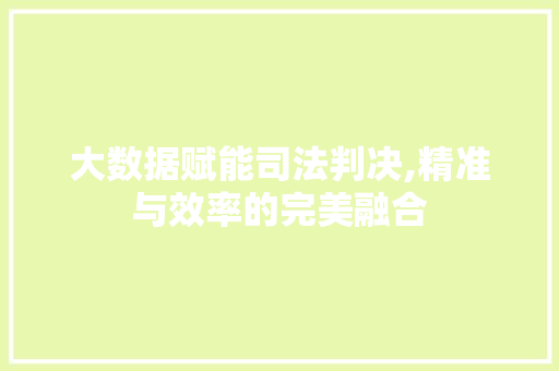 大数据赋能司法判决,精准与效率的完美融合