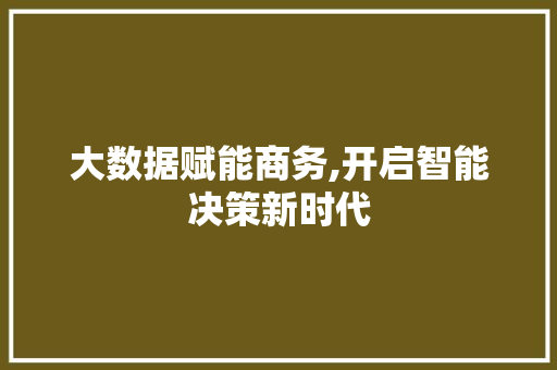 大数据赋能商务,开启智能决策新时代