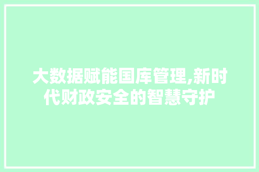 大数据赋能国库管理,新时代财政安全的智慧守护
