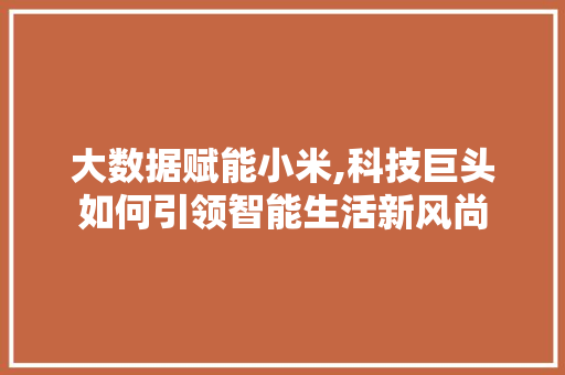 大数据赋能小米,科技巨头如何引领智能生活新风尚