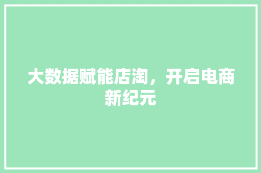 大数据赋能店淘，开启电商新纪元