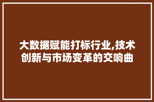 大数据赋能打标行业,技术创新与市场变革的交响曲