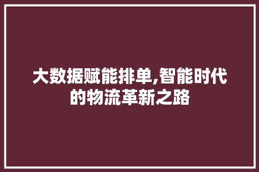 大数据赋能排单,智能时代的物流革新之路