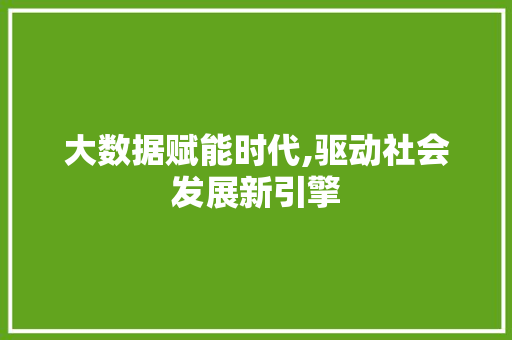 大数据赋能时代,驱动社会发展新引擎