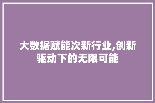 大数据赋能次新行业,创新驱动下的无限可能
