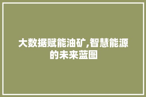 大数据赋能油矿,智慧能源的未来蓝图