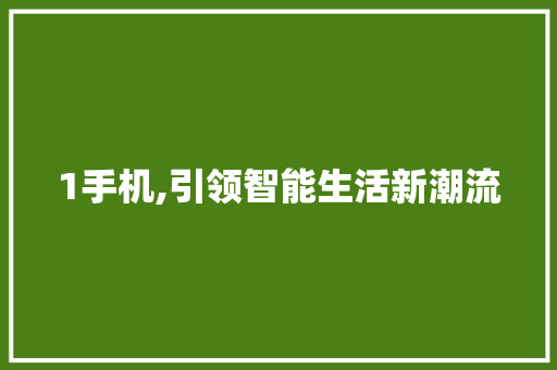 1手机,引领智能生活新潮流