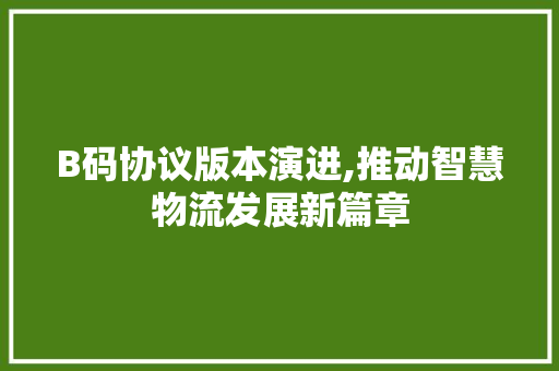 B码协议版本演进,推动智慧物流发展新篇章