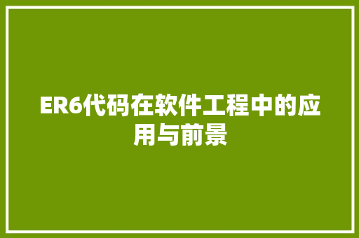 ER6代码在软件工程中的应用与前景