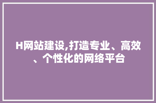 H网站建设,打造专业、高效、个性化的网络平台