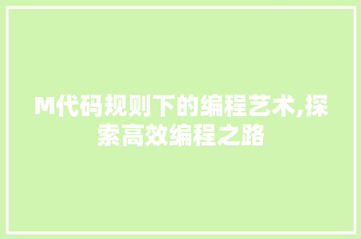M代码规则下的编程艺术,探索高效编程之路