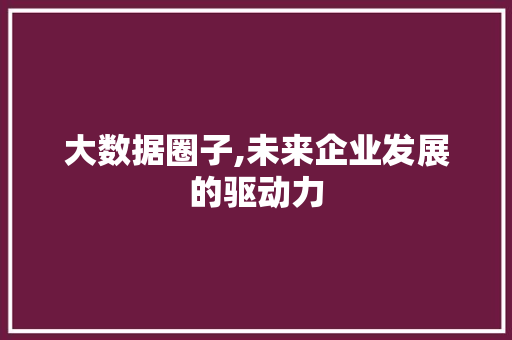 大数据圈子,未来企业发展的驱动力
